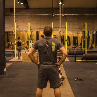 Coach Blacksheep no box